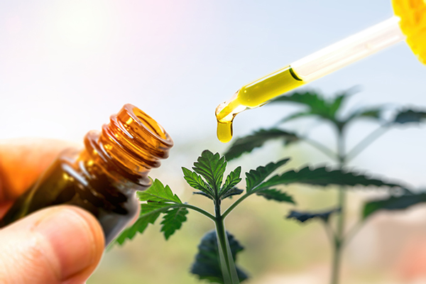 CBD Products by Hemp and Herbs