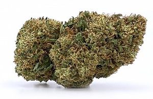 Hemp Flower | CBD Products by Hemp & Herbs | Temple, Texas